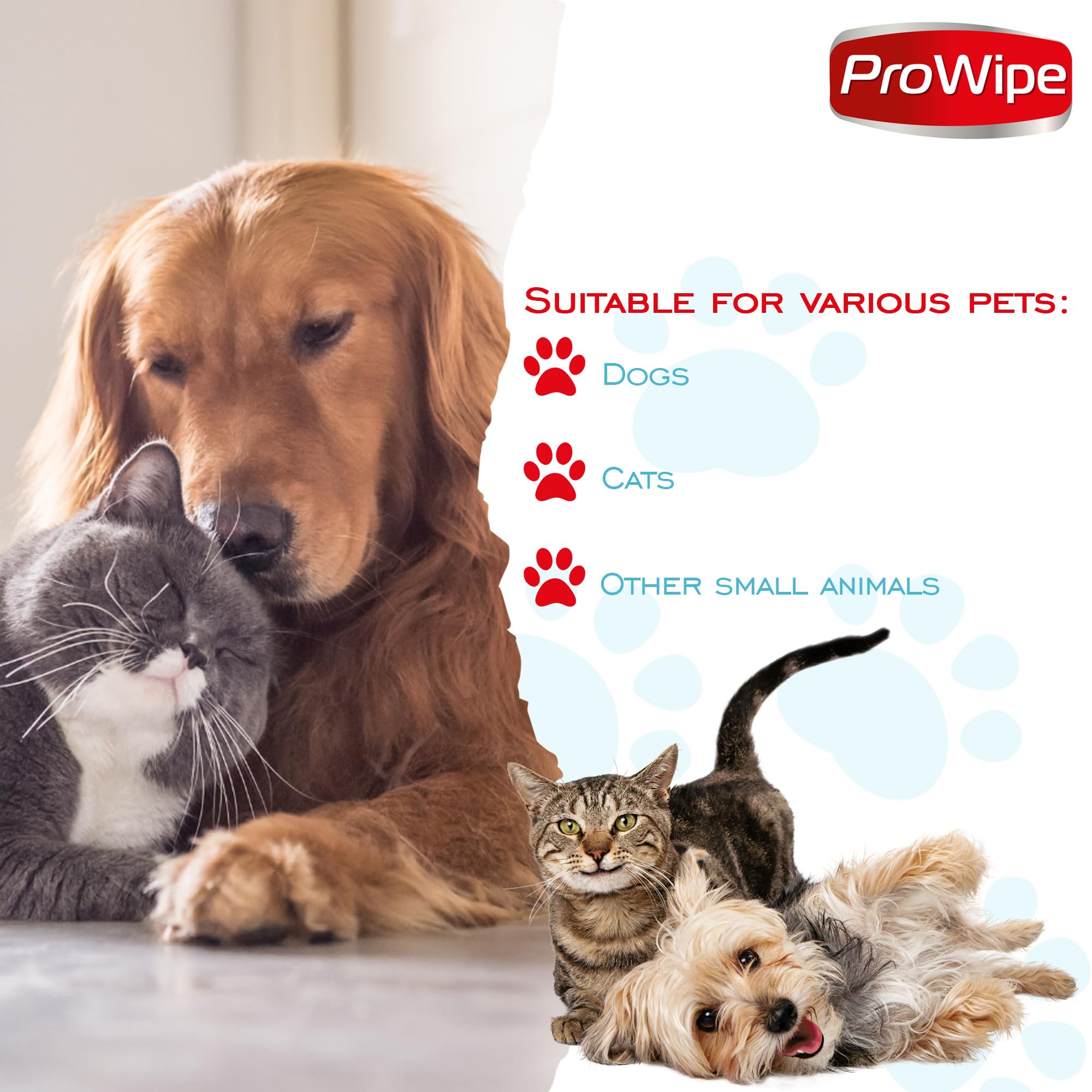Prowipe Pet Wipes for Dogs and Cats