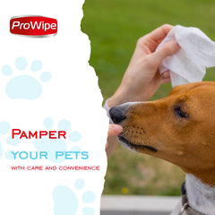 Prowipe Pet Wipes for Dogs and Cats