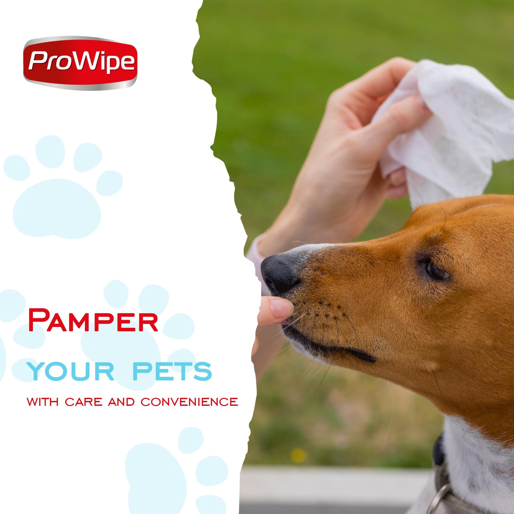 ProWipe Pet Wipes for Cats & Dogs