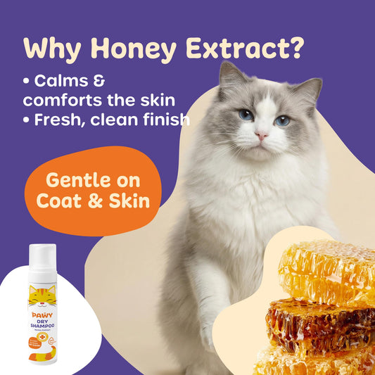 PAWY Cat Dry Shampoo Foam 200ml