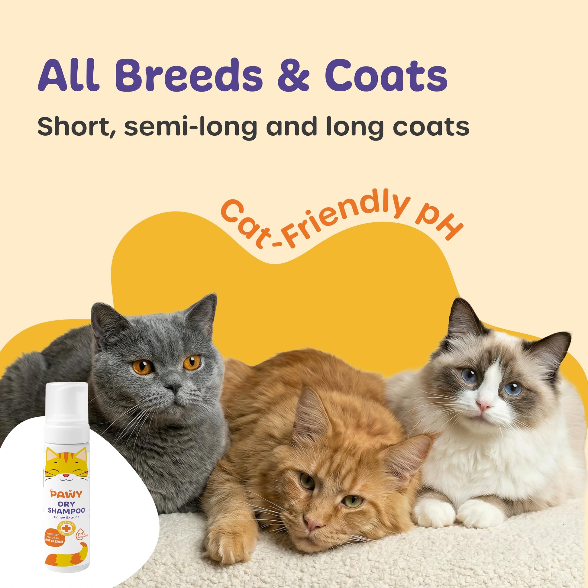 PAWY Cat Dry Shampoo Foam 200ml